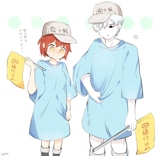 工作细胞红血球白血球