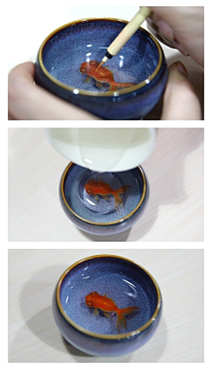 蘇打小蒙采集到手艺