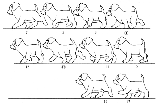 犬科动物的走小狗