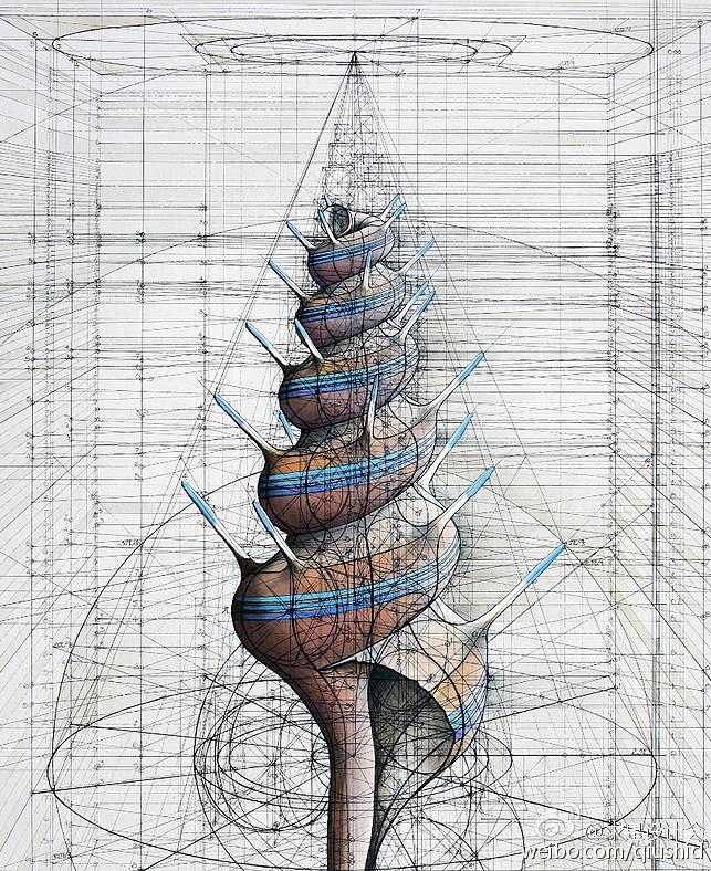 在委内瑞拉艺术家rafaelaraujo的眼中仿佛一切事物的轨迹形状生成背后