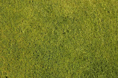 材质贴图 园林景观规划总平面图铺装材质贴图ps彩平后期渲染素材-淘宝