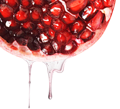 xx仙人掌xx采集到fruit