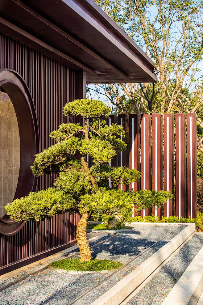 新中式 入口门楼 木质格栅 框景 植物 松柏 意境 景观设计(sed新西林