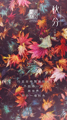 大胡子狗采集到节日节气