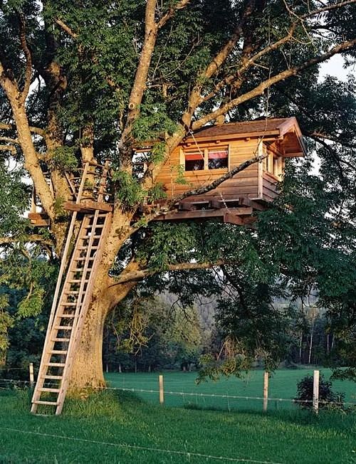 treehouse