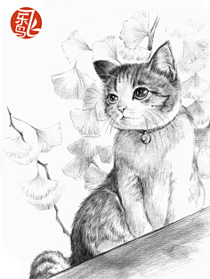 🍊橘子你个哦润吉🍊采集到xiaoxiao