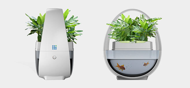 生态循环无需换水的鱼缸工业设计产品设计公司lkk洛可可官网