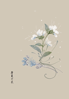 芍药居一霸采集到不知道叫啥名