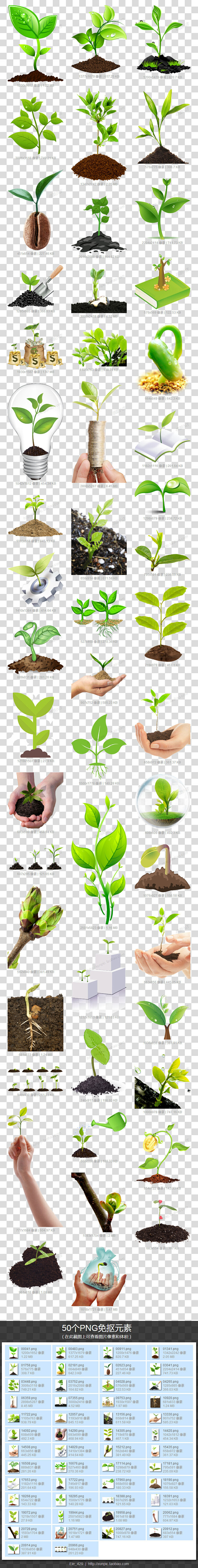 茁壮成长的小树苗png免抠素材