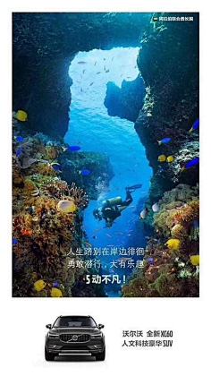 EV此木采集到海报