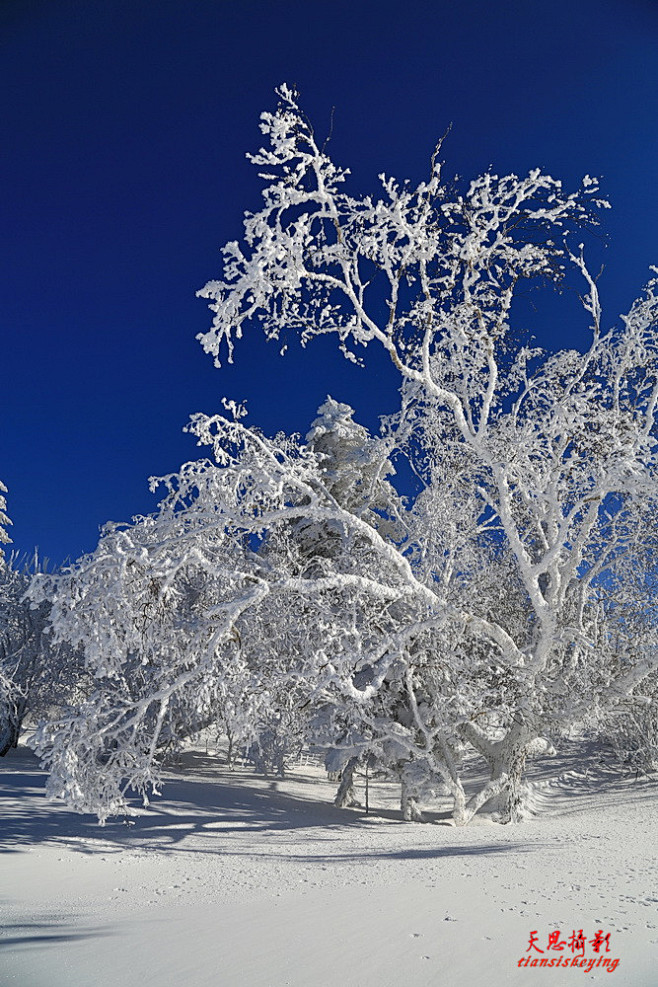 远山流水采集到冰天雪地
