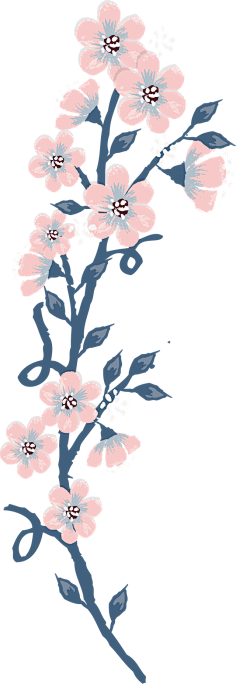 __葉○采集到花草