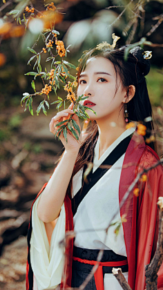 三月的狐狸猫采集到古装