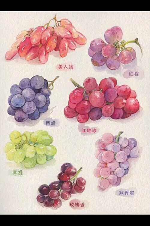 【素材】各种什么素材咯 拿图吱一声_水彩吧_