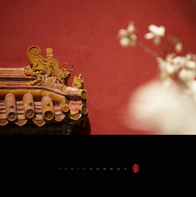 归来故宫,爱我中国红