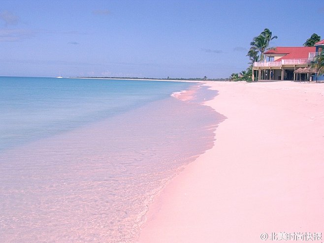 粉色沙滩位于巴哈马群岛上哈勃岛,被美国《新