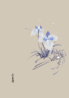 芍药居一霸采集到不知道叫啥名