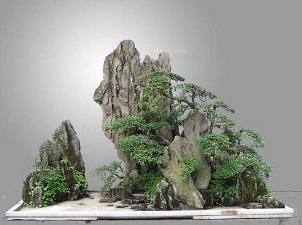 1kaw4_奋斗到底从落叶5257转采于2015-03-12 20:33:37假山盆景盆景1