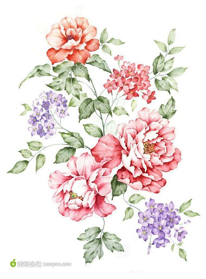 花朵水粉手绘花手绘水彩花花草抽象花手绘稿花卉模版设计花朵素材