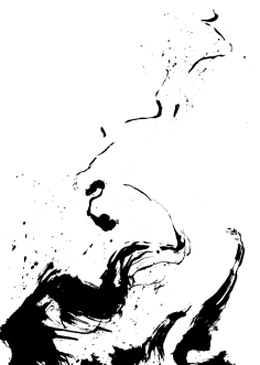 CO1917采集到素材