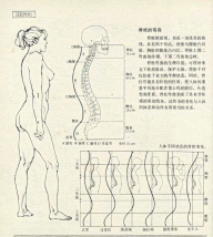 老妇女采集到人体结构