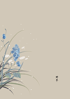 芍药居一霸采集到不知道叫啥名