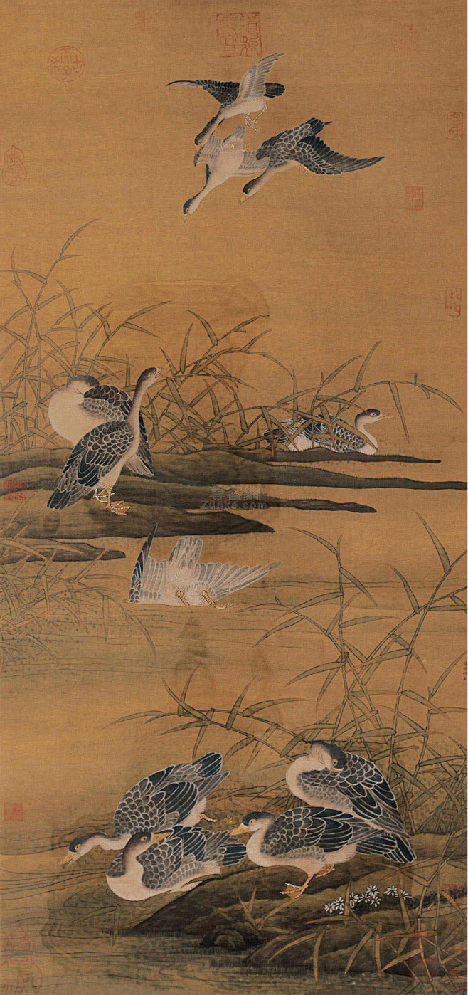 徐熙芦雁图立轴设色绢本作品欣赏