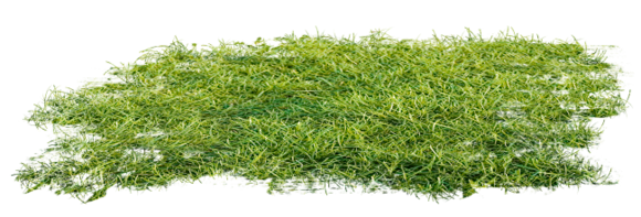 【我爱ps】140616:草丛png_蝈蝈的小窝吧_百度贴吧