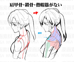 /jie采集到干货