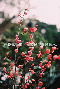 Lonely-man采集到旧城