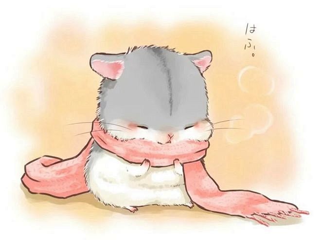 小仓鼠表情包可爱萌