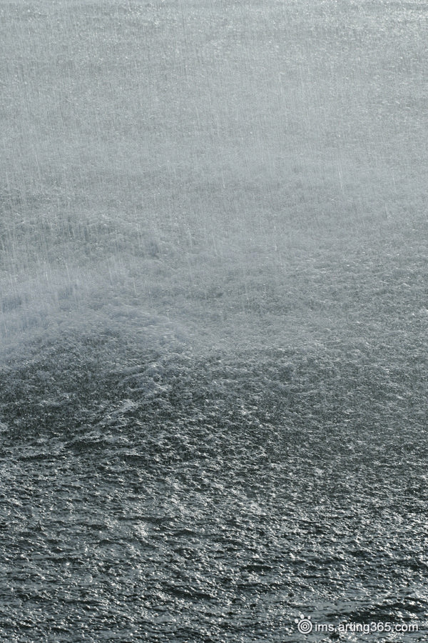 海面暴雨采集大赛