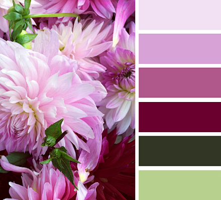配色-花瓣网|陪你做生活的设计师