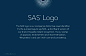 SAS美国软件VI手册