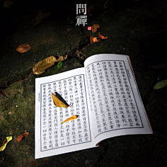 异世蝶舞采集到说佛