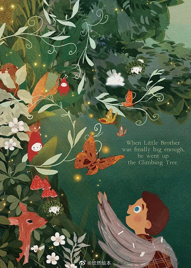 预售英文精装绘本theclimbingtree爬树