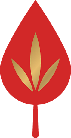 大白黑人采集到素材-新年素材PNG