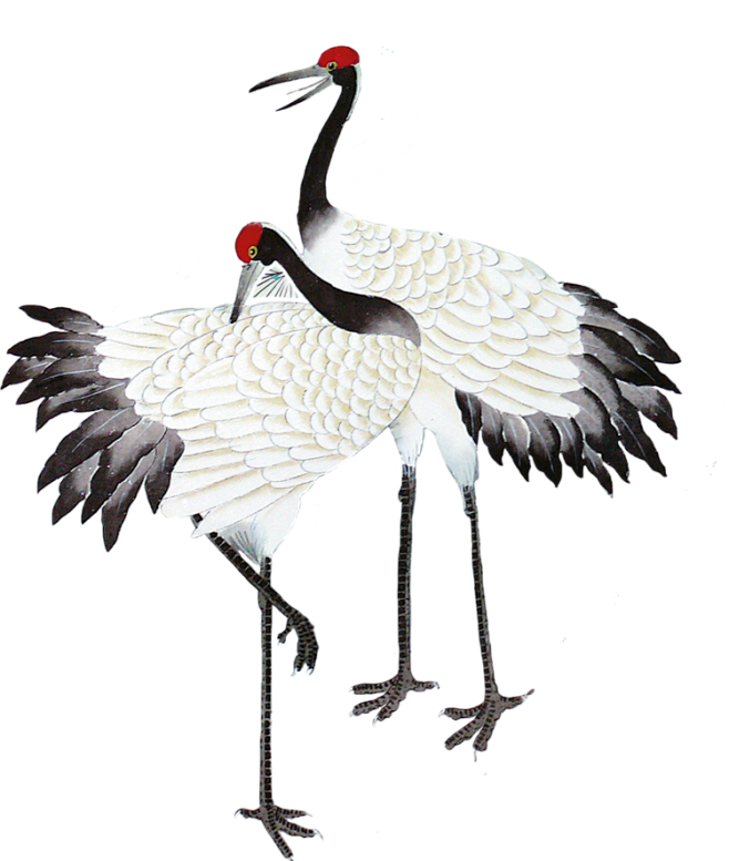 仙鹤仙鹤图片png素材