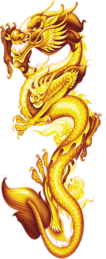 金色的龙尊贵奢华帝王风范金龙png免抠图金色龙中国风龙浮雕双龙戏珠