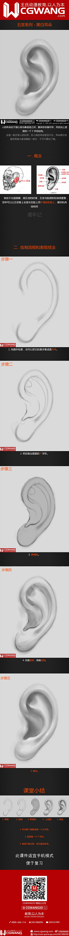 喵mw采集到身体部位