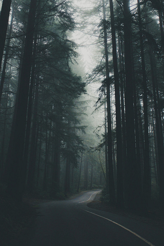 当你离开时你会多么悲伤当你失败时你是多么失落当