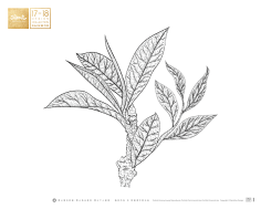 大美·无言采集到插图