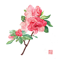 小欲同学采集到插画~绘画~手绘~漫画~花草~