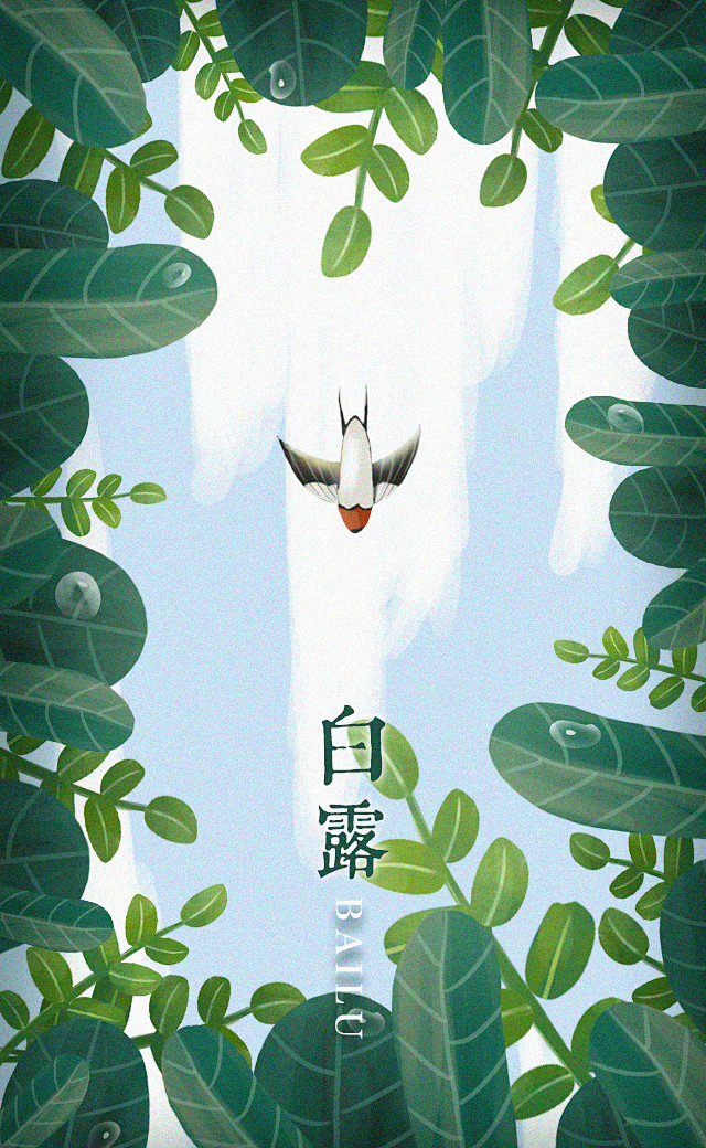 插画临摹练习二十四节气白露