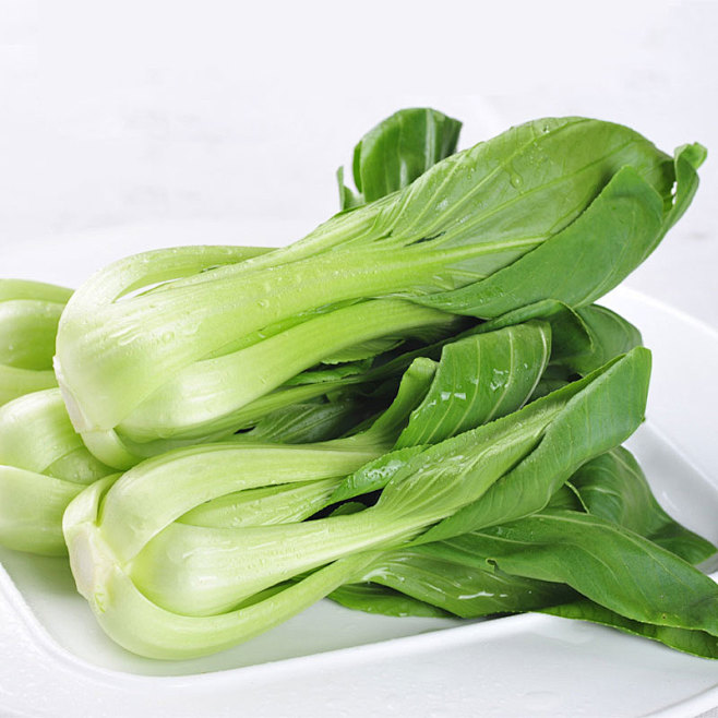 新鲜小青菜5斤当季新鲜蔬菜嫩绿农家上海青现摘鸡毛菜霜冻青菜淘宝网