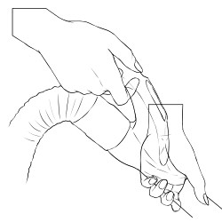 手的畫法手部教程參考手姿勢參考手動作手部動作手動作手畫法