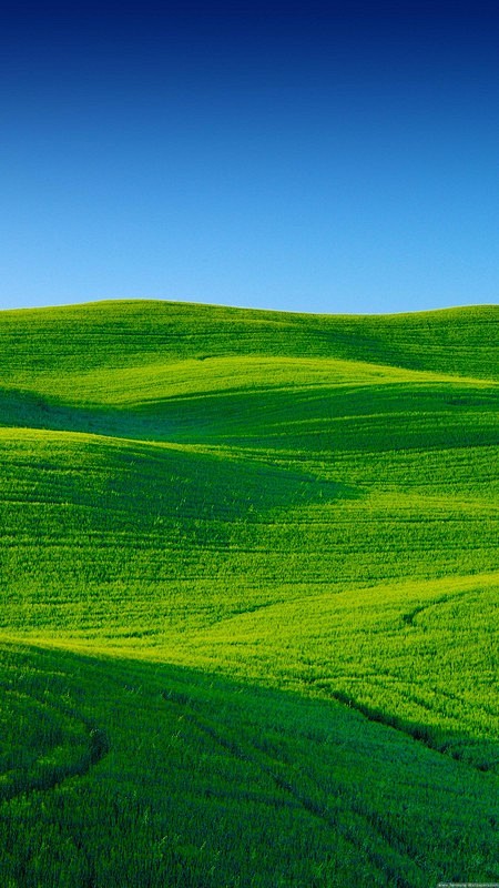 发一些唯美的14402560竖屏壁纸可以打包下载盖乐世社区三星手机官方