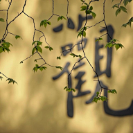 無人知所去采集到梵音