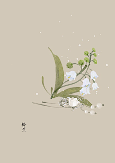 芍药居一霸采集到不知道叫啥名