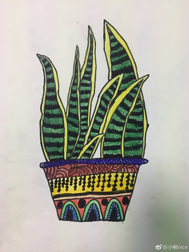 儿童创意画黑白线描画儿童画线描虎皮兰装饰画小朋友们今天超级认真